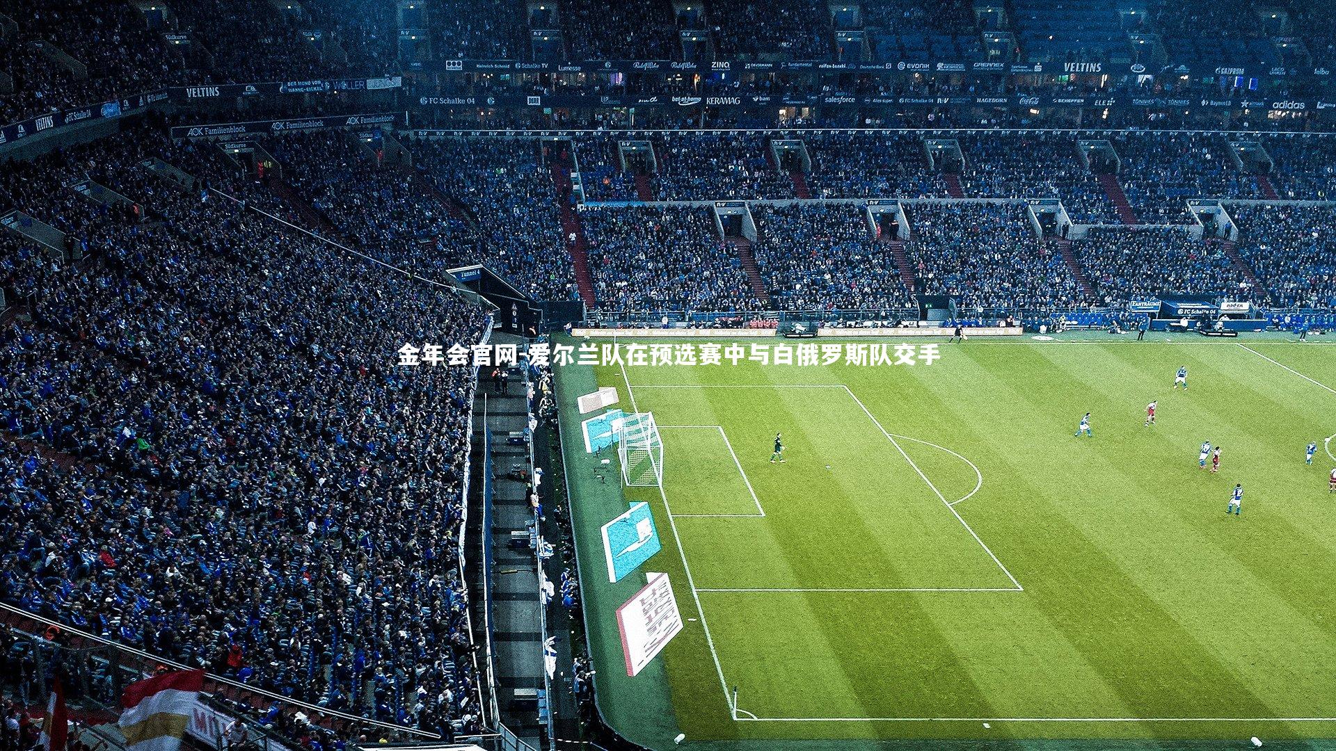 爱尔兰队在预选赛中与白俄罗斯队交手