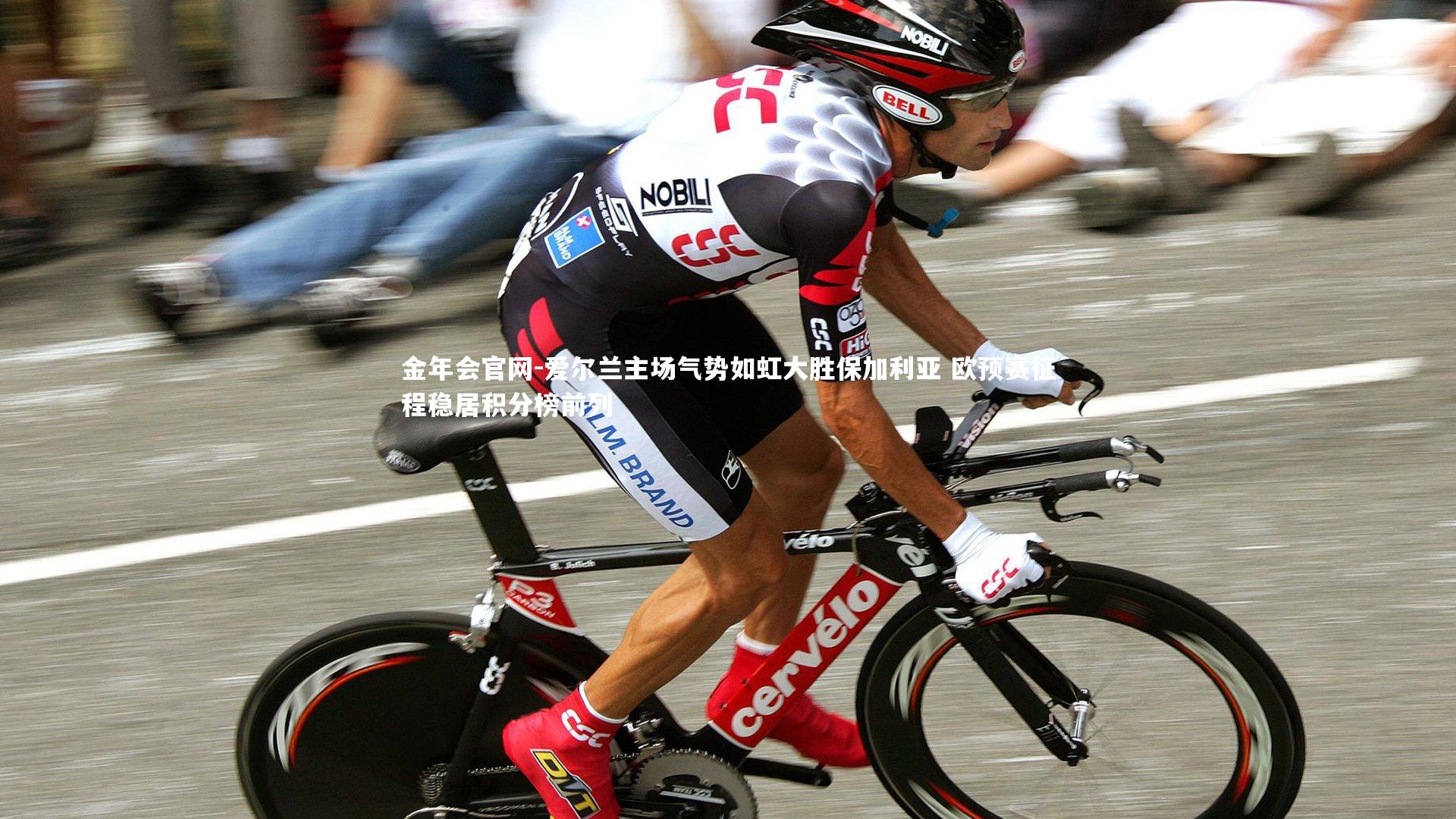 爱尔兰主场气势如虹大胜保加利亚 欧预赛征程稳居积分榜前列